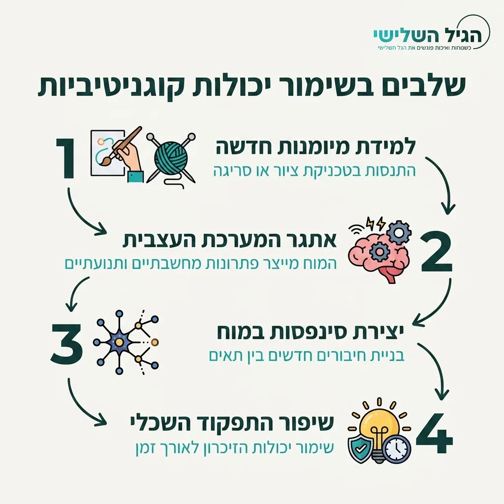 אינפוגרפיקה — שלבים בשימור יכולות קוגניטיביות: למידת מיומנות חדשה, אתגר המערכת העצבית, יצירת סינפסות במוח, שיפור התפקוד השכלי