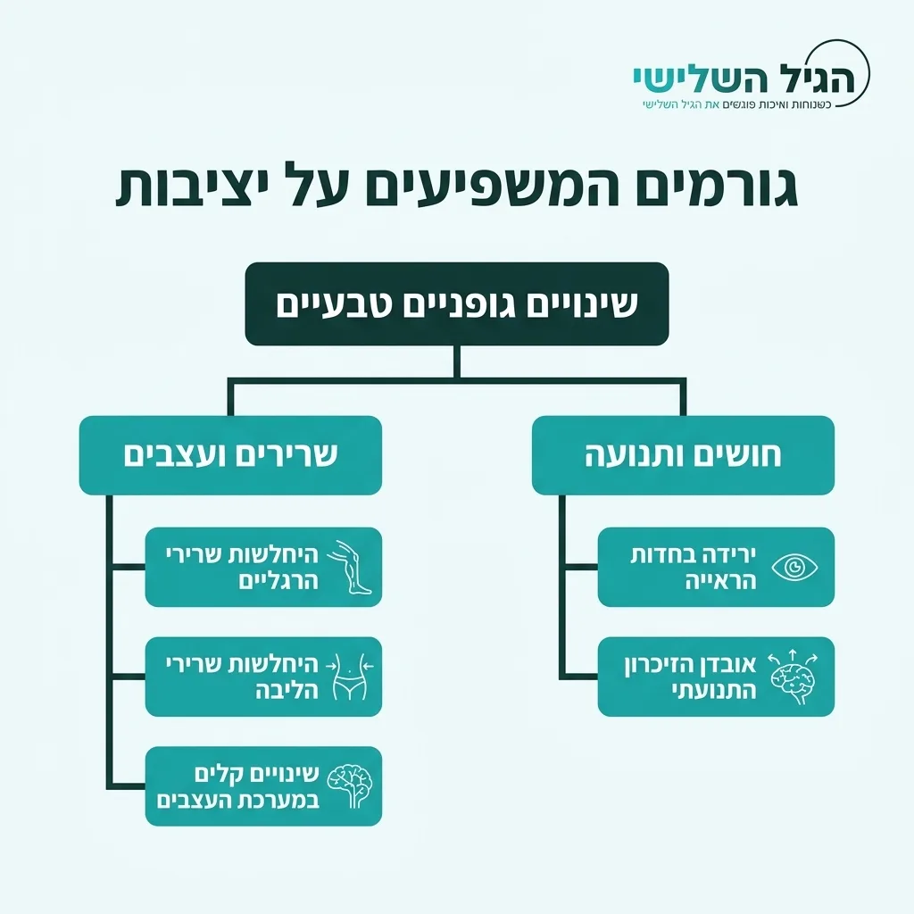אינפוגרפיקה — גורמים המשפיעים על יציבות: שינויים גופניים טבעיים